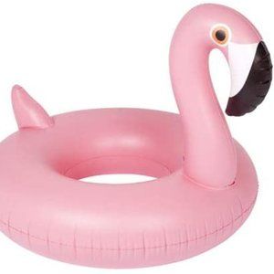 Flamingo Backyard Pool